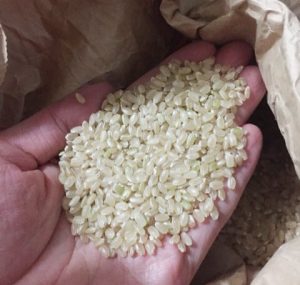 玄米と米糠を使った「ナチュラルカイロ」