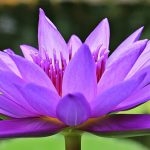 なんとなく思う、自分が死んだ時のこと