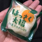 【広島名物】もち菓子のかしはら【はっさく大福】