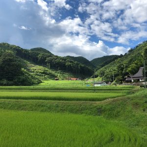 広島県北部の自然と戯れて来ましたー！