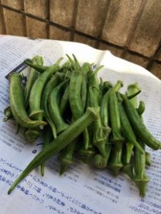 毎日の料理やお野菜のアレンジ