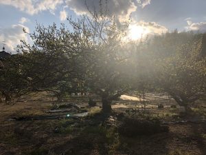 想像して楽しかった知らない誰かとおそろいのマスク