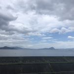 【梅雨】植物がすくすく育っています