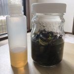 フライングだけれど・・・チンキで化粧水を作りました。