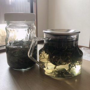 思いつきチンキとでたらめ野草茶