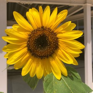 夏休み、始まりました。「たかが遊び。されど遊び。」