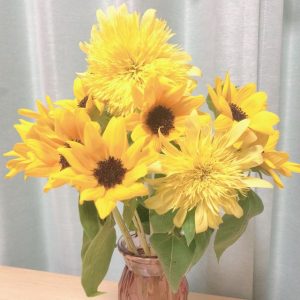 夏といえばひまわり！夏の疲れが出る頃ですね