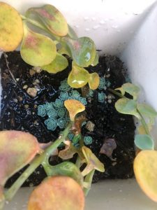 とてもありがたかった出来事