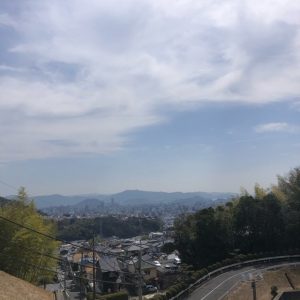 春彼岸なので