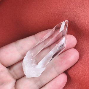 隠れていた子が不意に見つかった日