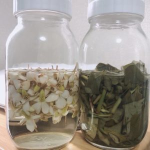 どくだみチンキ