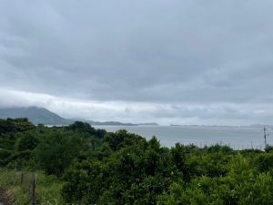 ひとつずつ、いっぽずつ。