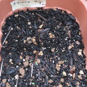 温度・水・酸素