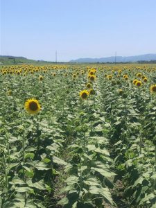 歩き出した。始まりの時