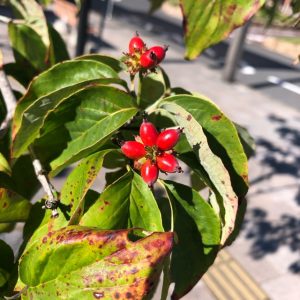 満月のエネルギー受けてます