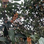 感性を磨くのは