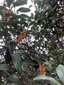 感性を磨くのは