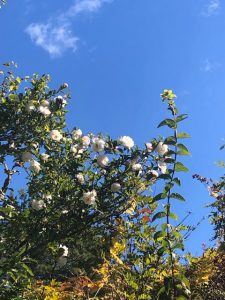 「送料無料」で起きる出来事が謎すぎる